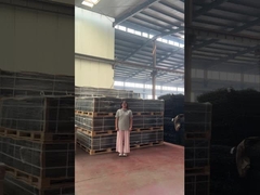 Καθαρή θέα Τρίχωμα Σφίγγες Ασφάλεια 358 Αντιανυψωτικό φράχτη