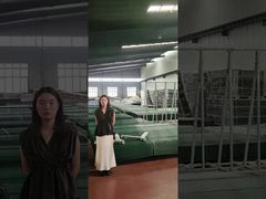 Anti Climb Security Fencing in iron pallet