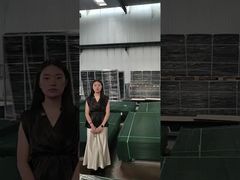 Φράχτης καθαρής θέσης Ασφάλεια κατά της αναρρίχησης